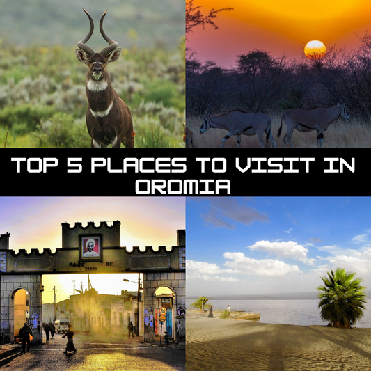 5 Places You Should Visit In Oromia Part(1)